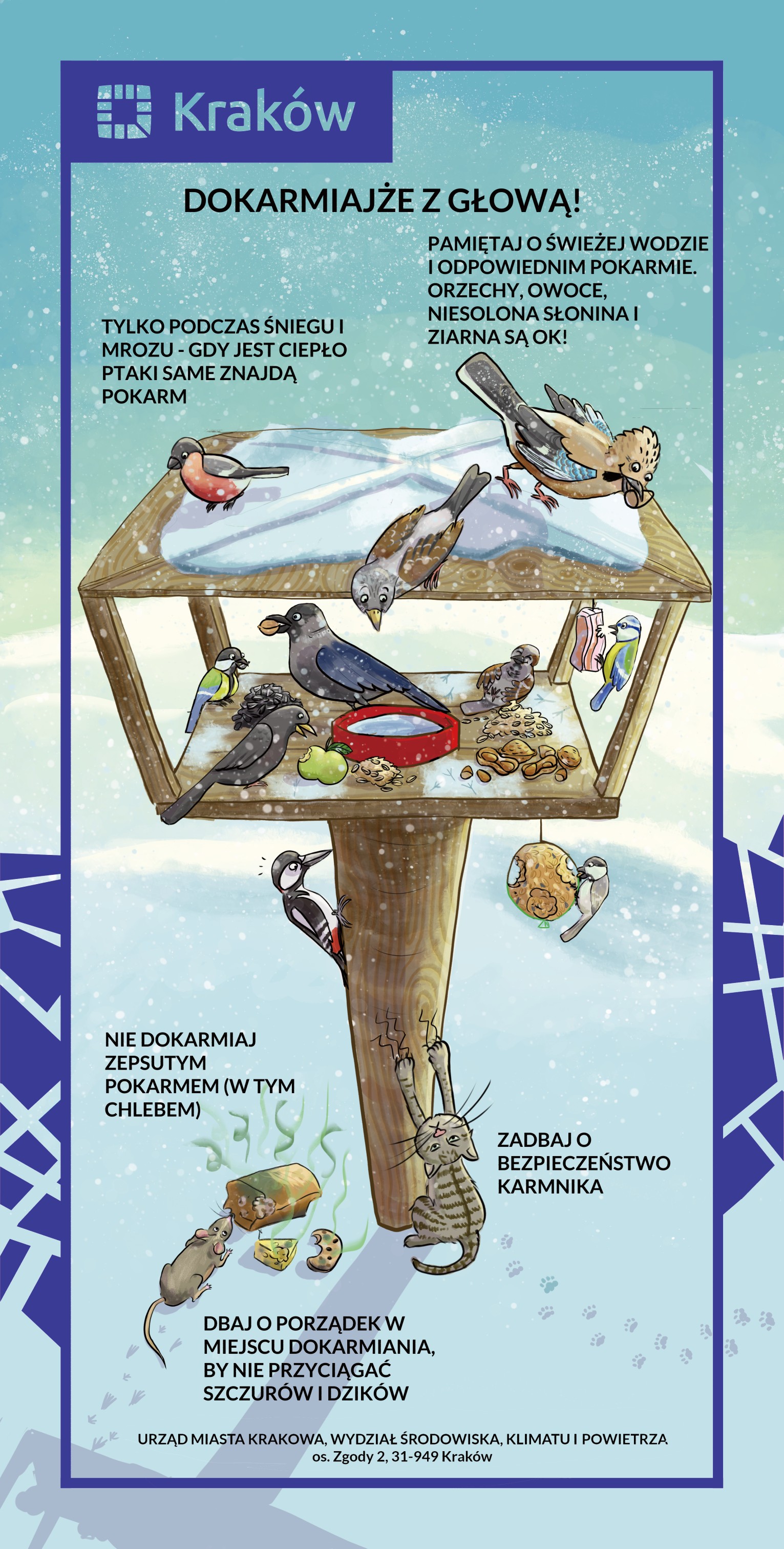 Plakat: Dokarmianie ptaków