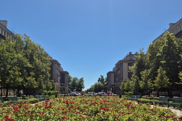aleja-roz-20C934D88-BBB8-783A-140E-E7736161154C.jpg