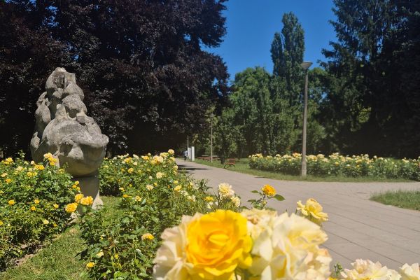 park-ratuszowy-1FB1E75E3-AB77-3B73-109A-65BE9EE4C1A8.jpg