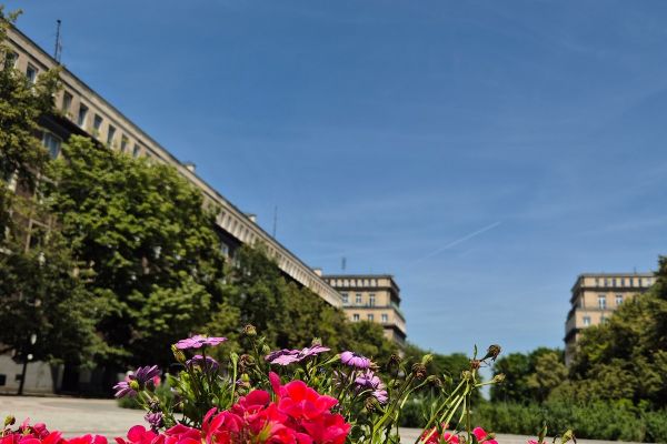 20240619-12215064A74093-C77B-6AC8-EE18-8DEB25EA7B9B.jpg