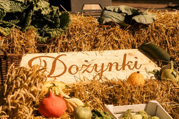 low-res-dozynki20260815-ok-nowahuta-0545-mz307137FC42D58D-AE70-A62B-255E-84599B12A1B6.jpg